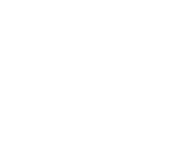 GT3