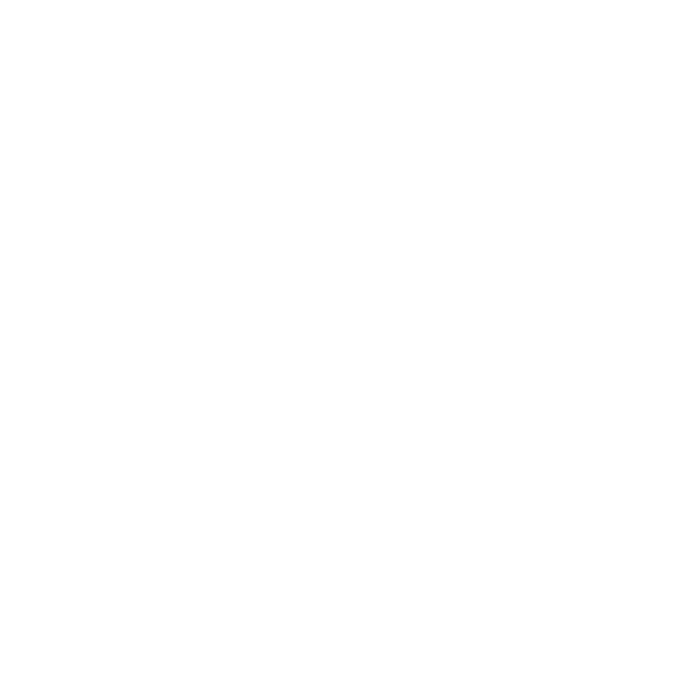 VIK